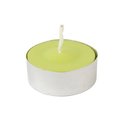 Zest Candle Zest Candle CTC-001 Lime Green Citronella Tealight Candles -100pcs-Box CTC-001